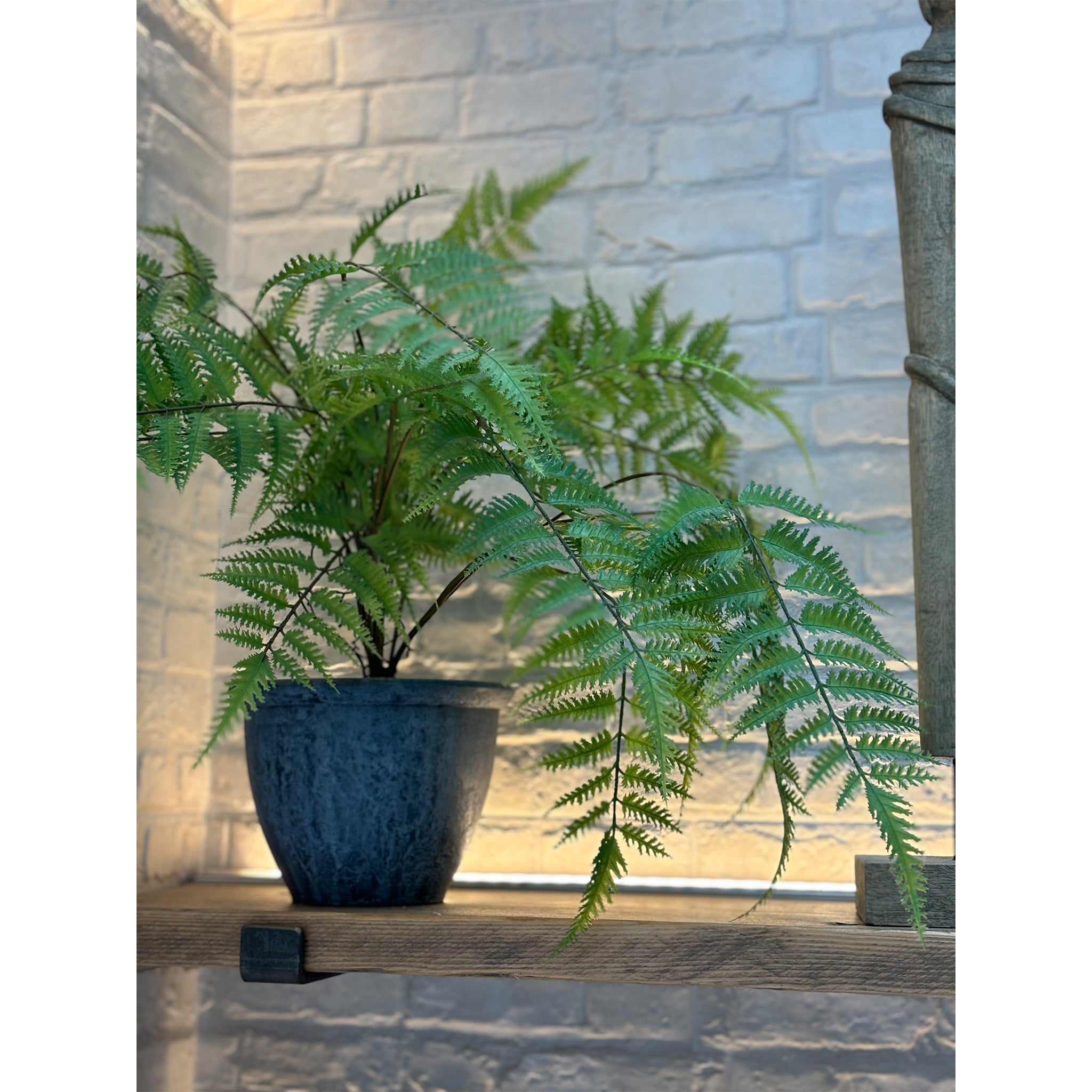 Riverside Foilage in Black Pot